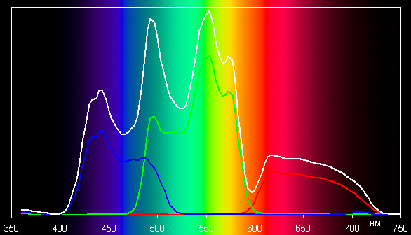 Spectrum