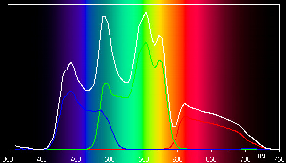Spectrum