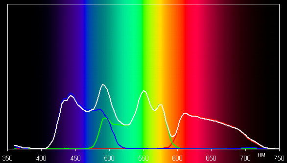 Spectrum