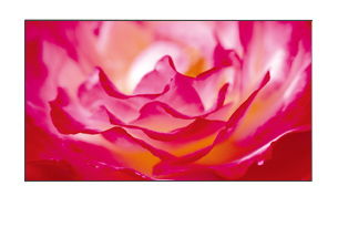 ЖК панель BenQ PL460 ЖК панель BenQ PL460