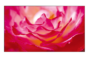 ЖК панель BenQ PH550 ЖК панель BenQ PH550